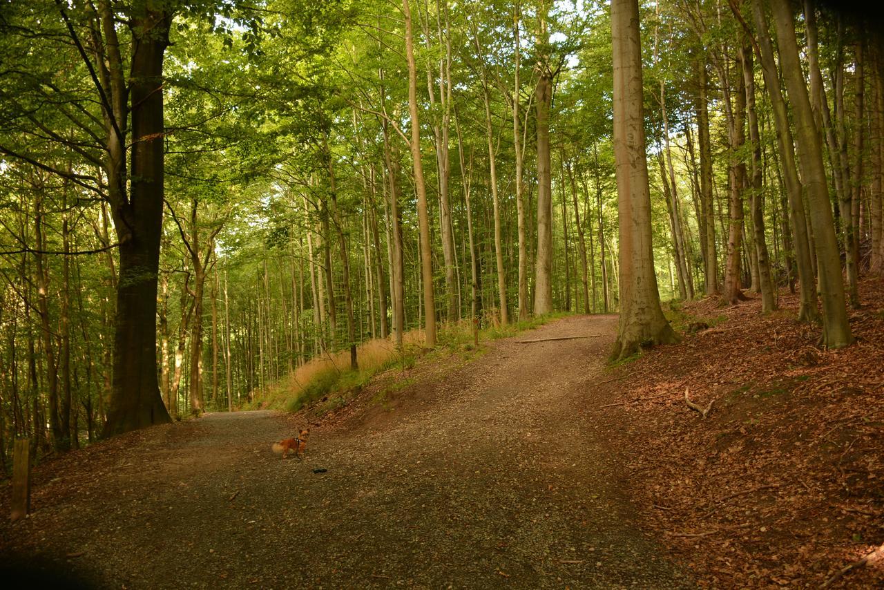 Vejle City Camping Экстерьер фото